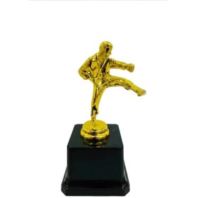 تصویر تندیس کاراته h13 