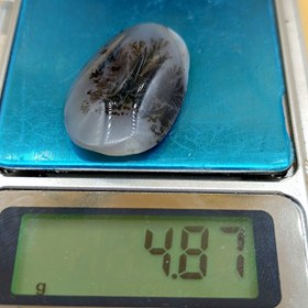 تصویر نگین شجر طبیعی کد ۱۲۰۸۷ 