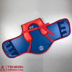 تصویر هوگو ووشو 