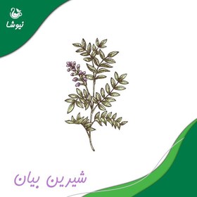 تصویر دمنوش خارمریم،رازیانه،زنجبیل، نعناع‌فلفلی،شیرین‌بیان Milk Thistle + Fennel + Ginger + Peppermint + Licorice NT063 