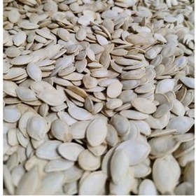 تصویر عالی تخمه کدو سفید گوشتی ایرانی (یک کیلو) 