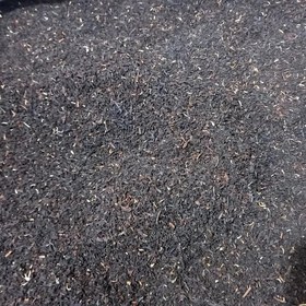 تصویر چای چکش سبز ۱ کیلوگرم 