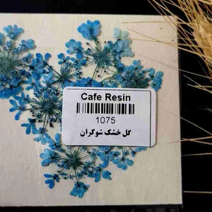 تصویر فروشگاه کافه رزین