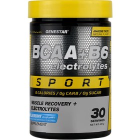 تصویر بی سی ای ای و ب6 و الکترولیت ژن استار - سیب سبز BCAA And B6 And Electrolytes Genestar