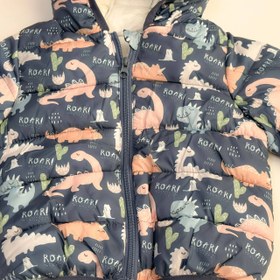 تصویر کاپشن دایناسور 