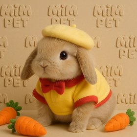 تصویر لباس و‌دورس خرگوش 