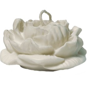 تصویر آلاله بزرگ 