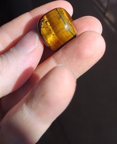 تصویر تامبل چشم ببر 