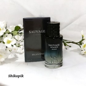 تصویر عطر ادکلن مردانه مدل ساواج دیور برندینی عطر و ادکلن (UNISEX)