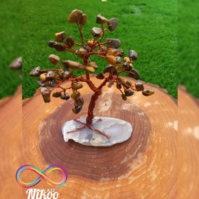 تصویر درختچه چشم ببر 