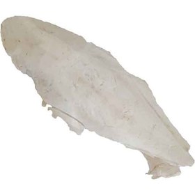 تصویر کف دریا مدل Cuttlebone 