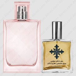 تصویر عطر ادکلن عطرمی مدل بریت شیر زنانه - Atrmi Brit Sheer Women 