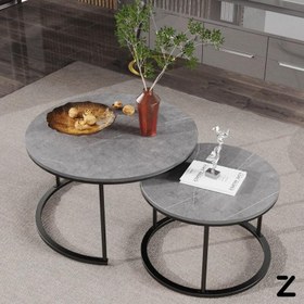 تصویر میز جلو مبلی دوقلو فلزی ۲ تکه مدل لسلی 