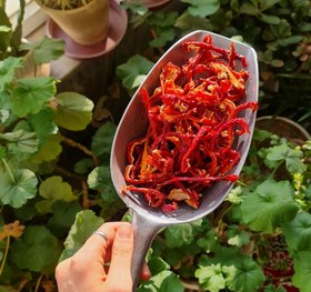 تصویر پاپریکا - قلم / قرمز 