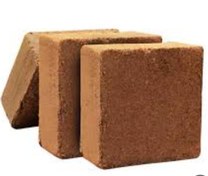 تصویر کوکوپیت Cocopit