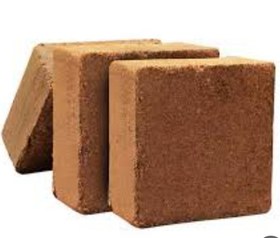 تصویر کوکوپیت Cocopit