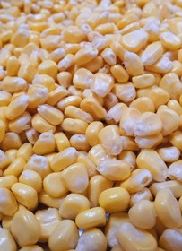 تصویر ذرت مکزیکی شیرین - 1000 Mexican sweet corn