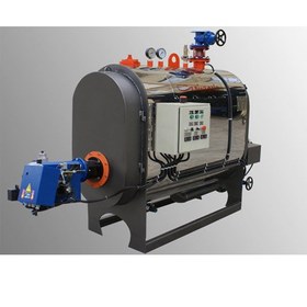 تصویر دیگ آبگرم فایر باکس مدل DS-WW-H-FB-625 ظرفیت 625000 