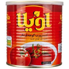 تصویر رب گوجه فرنگی اویلا وزن 800 گرم 