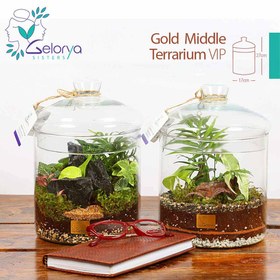 تصویر تراریوم گلد میدل vip 
