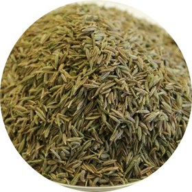 تصویر زیره سبز 