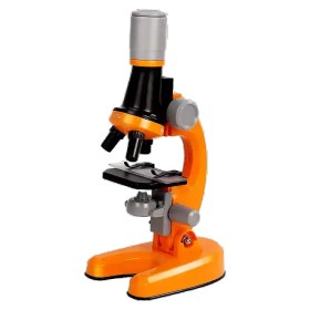 تصویر میکروسکوپ دانش‌آموزی 