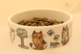 تصویر ظرف غذای سرامیکی گربه 