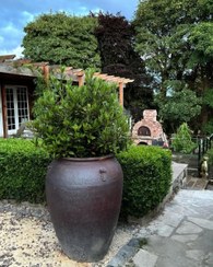 تصویر سفارش برگ بو برای زیباسازی فضای جلوی درب خانه 