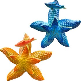 تصویر مگنت ستاره دریایی 