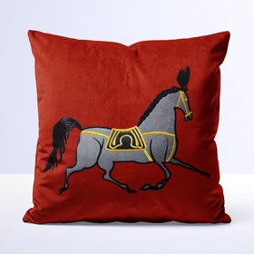 تصویر کوسن طرح هرمس - کد 70113 زمان آماده سازی یک هفته کاری