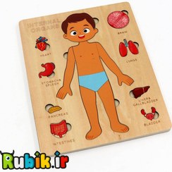 تصویر پازل چوبی اعضای بدن مناسب ۳ سال به بالا 