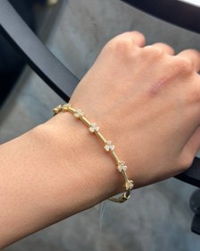 تصویر بنگل روشا گل 