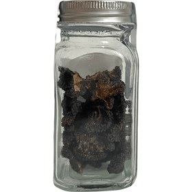 تصویر قارچ ترافل سیاه 