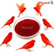 تصویر رنگدانه قناری لوکانتین آلمان 