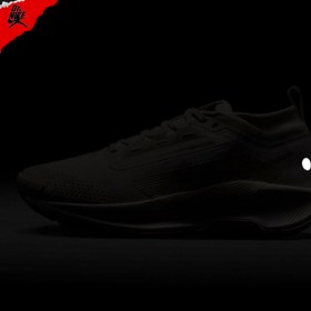 تصویر کفش (W) Nike Pegasus Trail 5 Gore-Tex 