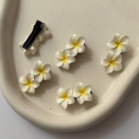 تصویر گیره انبری پلومریا ترند Pu36 