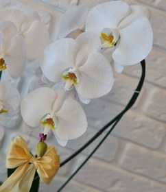 تصویر گلدان گل ارکیده لاکچری کد 356 ا Luxury Orkid Plant Code 356 Luxury Orkid Plant Code 356