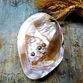 تصویر حوضچه صدف طبیعی مدل ۲ 