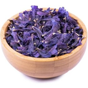 تصویر گل گاوزبان 