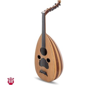 تصویر عود خانی حرفه ای 