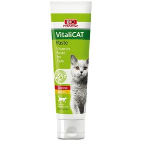 تصویر خمیر مولتی ویتامین گربه بالغ بیو پت اکتیو مدل VitaliCAT حجم 100ml 