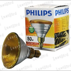 تصویر لامپ مادون قرمز فیلیپس ۸۰ وات 