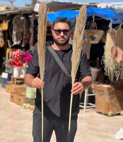 تصویر گل نی (گل خشک طبیعی) شاخه ۱عددی 