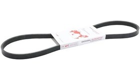 تصویر تسمه دینام ساینا دانگیل ۴pk۸۸۵ 