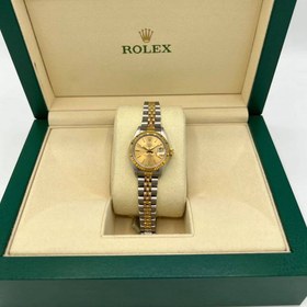 69173 Rolex Lady