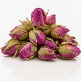 تصویر غنچه گل محمدی 