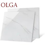 تصویر سرامیک کف OLGA کد 609 