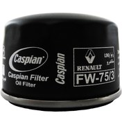 تصویر فیلتر روغن خودروی کاسپین مدل FW-75/3 مناسب برای رنو L90 