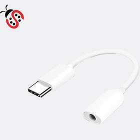 تصویر کابل تبدیل USB-C به AUX شیائومی مدل SJV409 طول 0.13 متر 