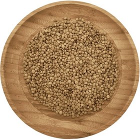 تصویر عدس ریز کانادایی 